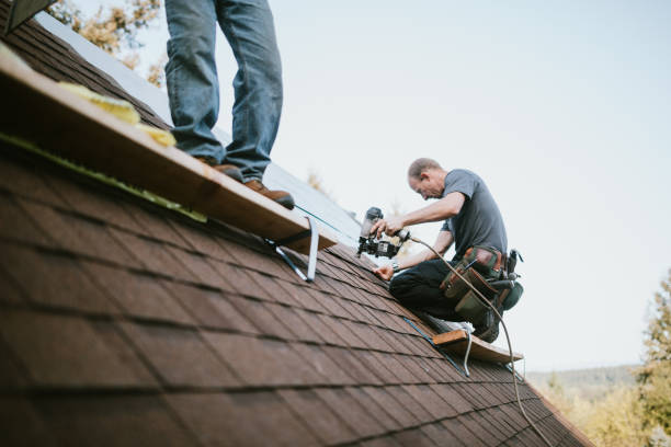Best Roof Leak Repair  in Alexandria, VA